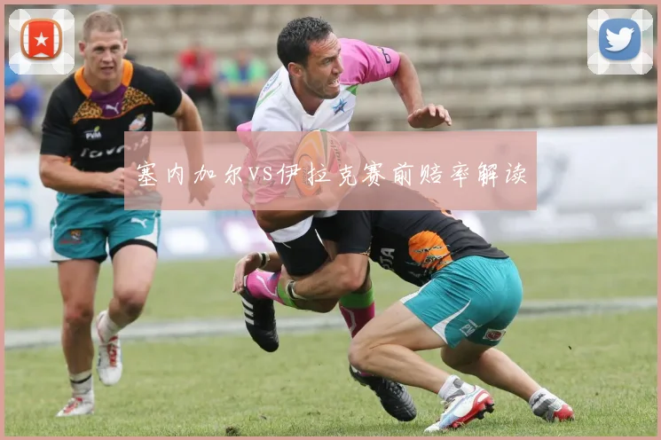 塞内加尔vs伊拉克赛前赔率解读