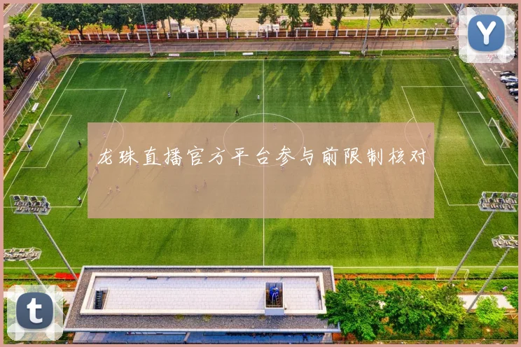 龙珠直播官方平台参与前限制核对
