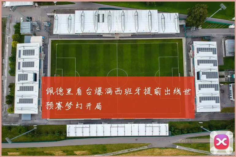 佩德里看台爆满西班牙提前出线世预赛梦幻开局
