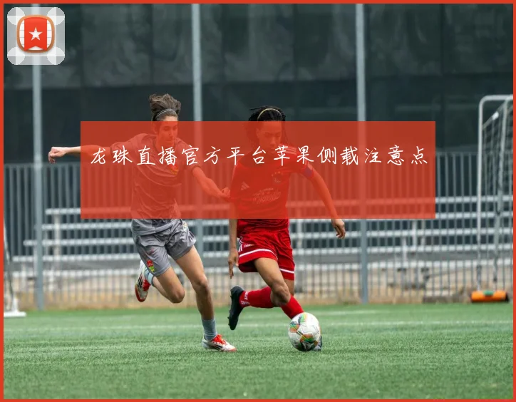 龙珠直播官方平台苹果侧载注意点